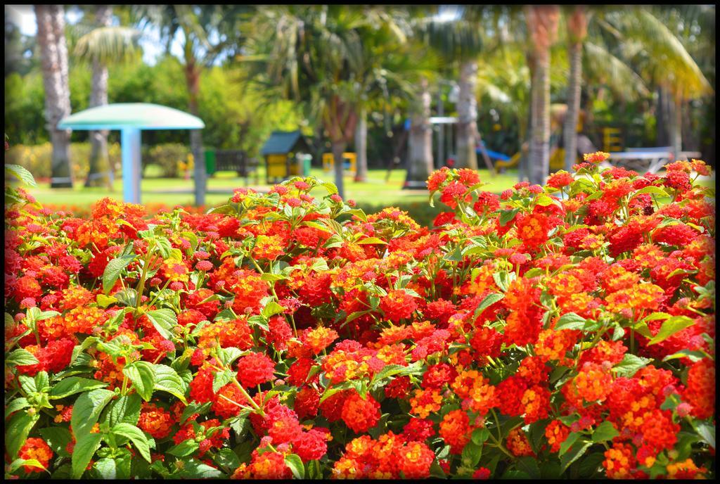 Hotel Lantana Hotel&apartments