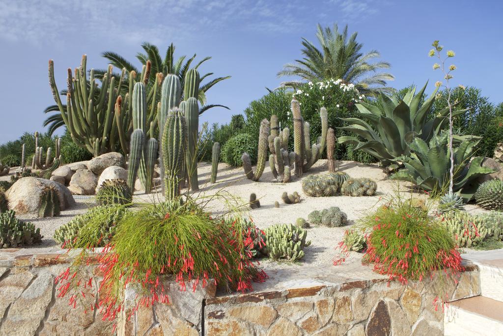 Lantana Hotel&apartments